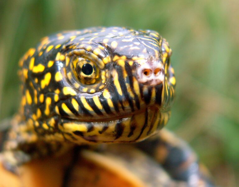 Hort-Miralles-55-001