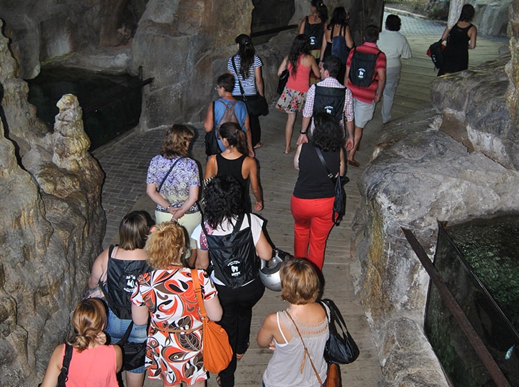 bioparc-educacion-dia-docente-03