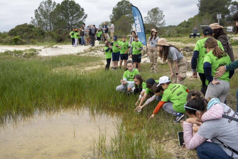 Proyecto Naturalización de las aulas