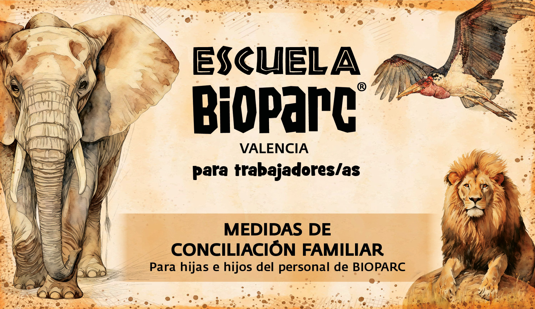 CREATIVIDAD_EscuelaBIOPARC_Personal